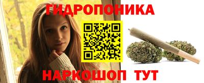 прущие крисы Северобайкальск