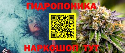таблы Будённовск